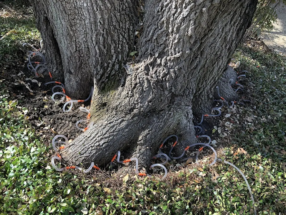 Detailed Shrub and Hedge Trimming job site in Ether